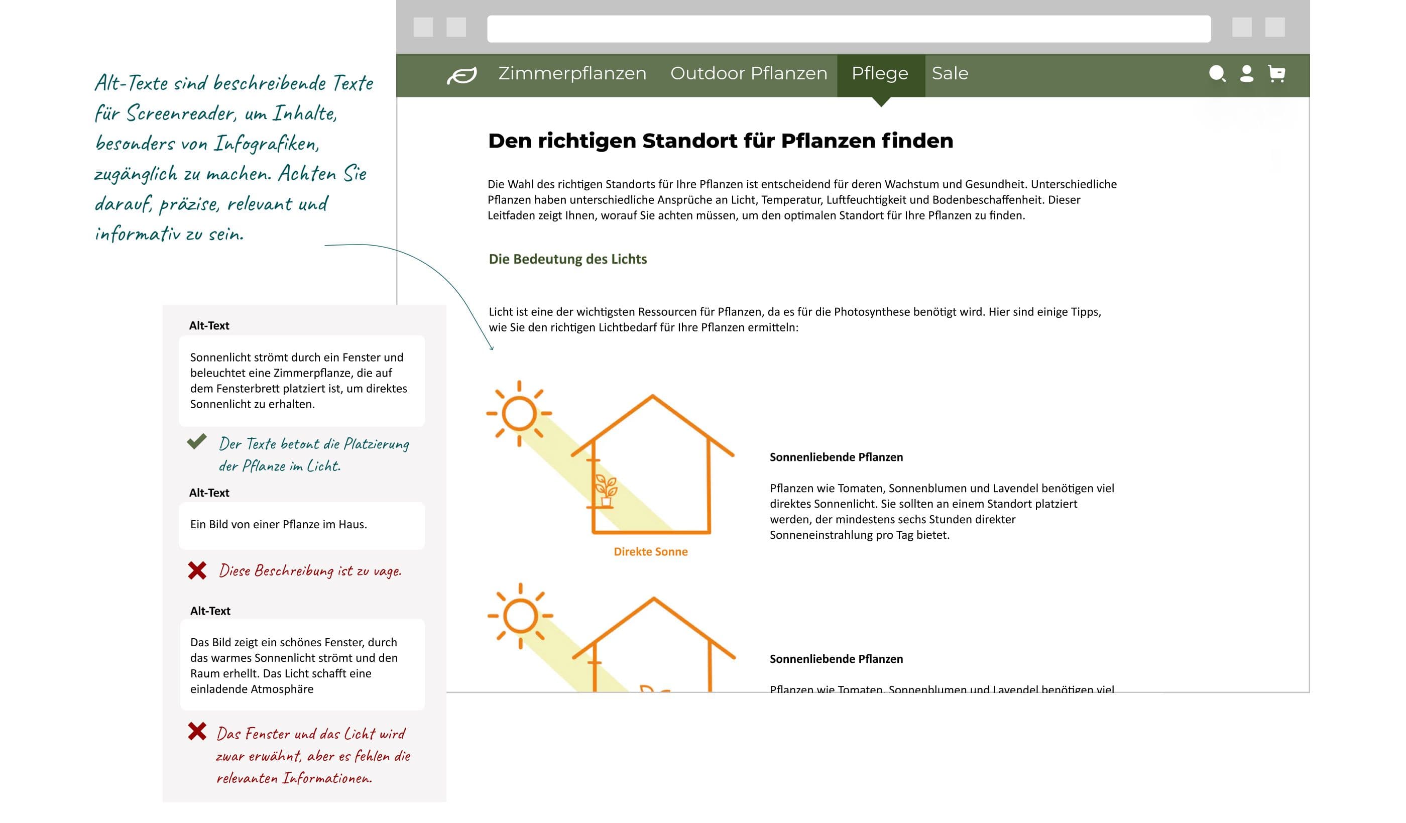 Screenshot einer Inhaltseite über Standorte von Pflanzen. Es werden gute und schlechte Alt-Texte für die Infografiken auf der Seite angezeigt