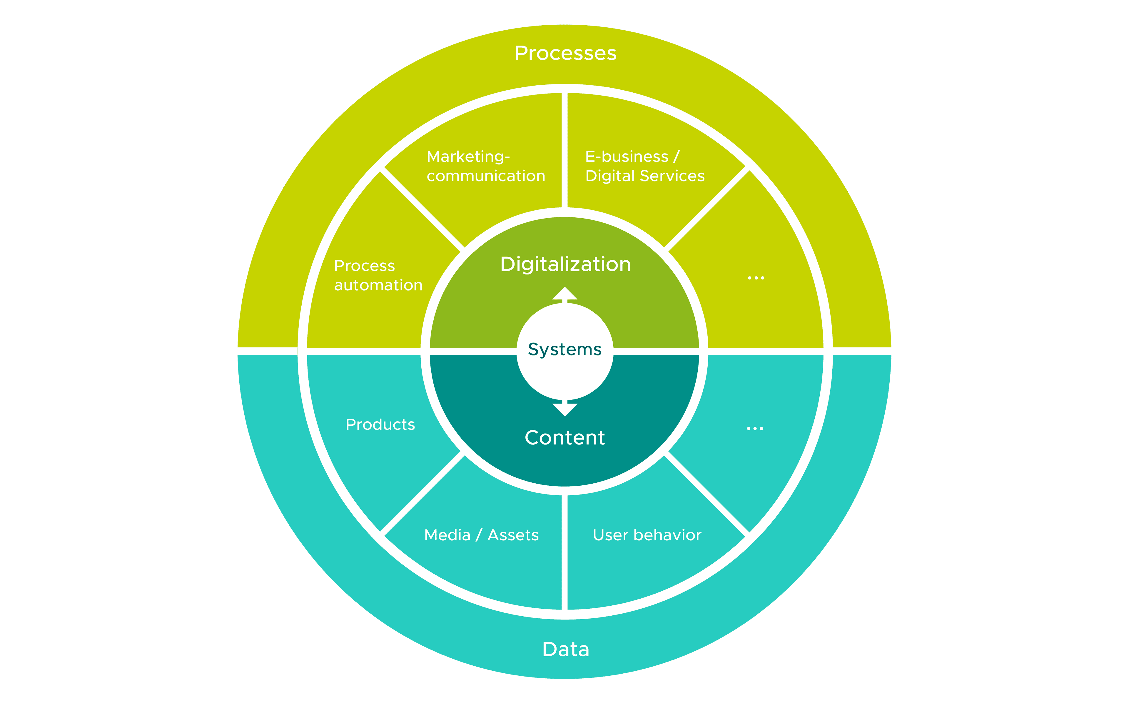 Pie chart of a digital ecosystem with three levels: systems, content, and digitization. Processes at the top, data at the bottom—represented by segments such as process automation, marketing, products, and user behavior
