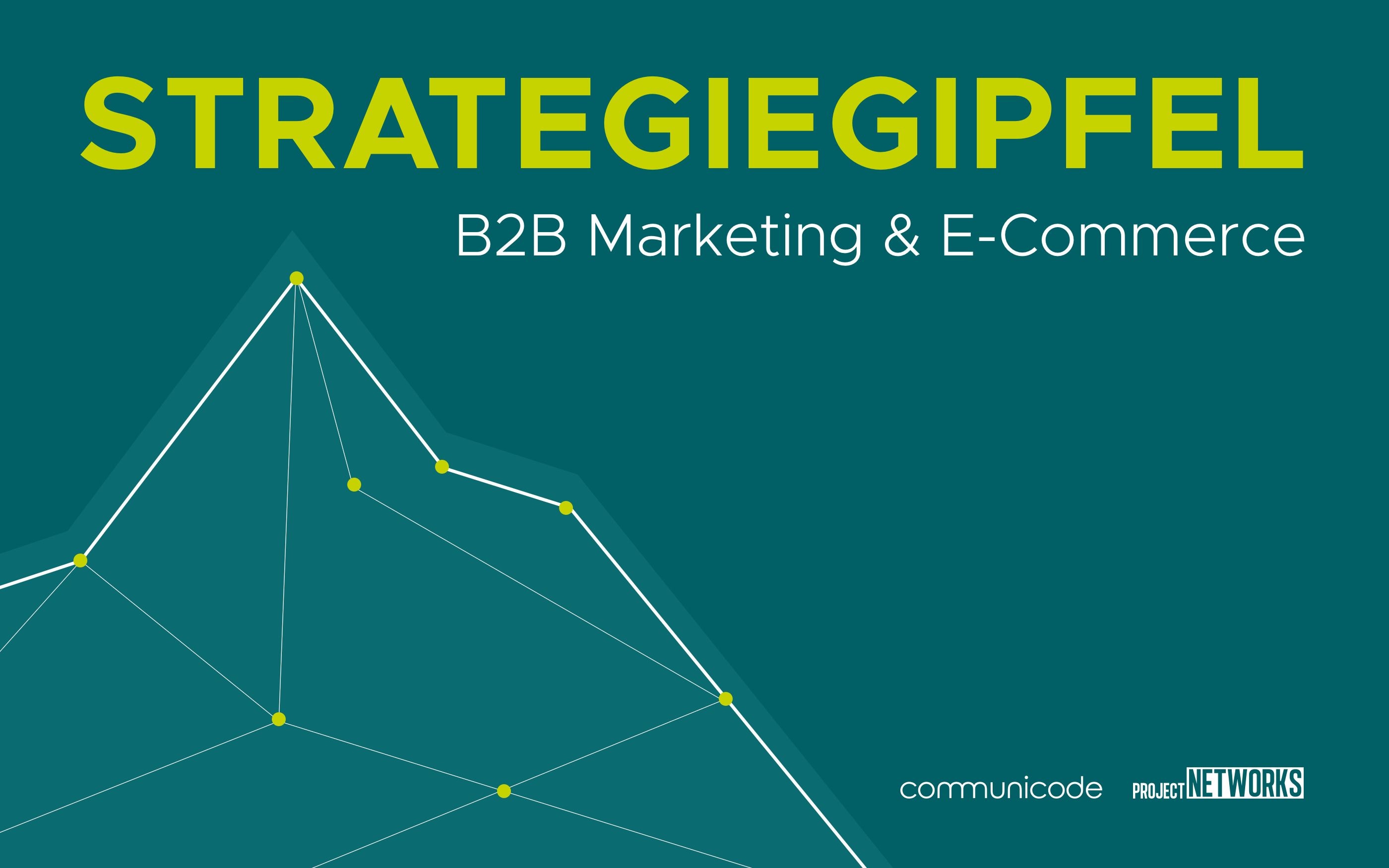 Grafik zum Projekt Networks Strategiegipfel