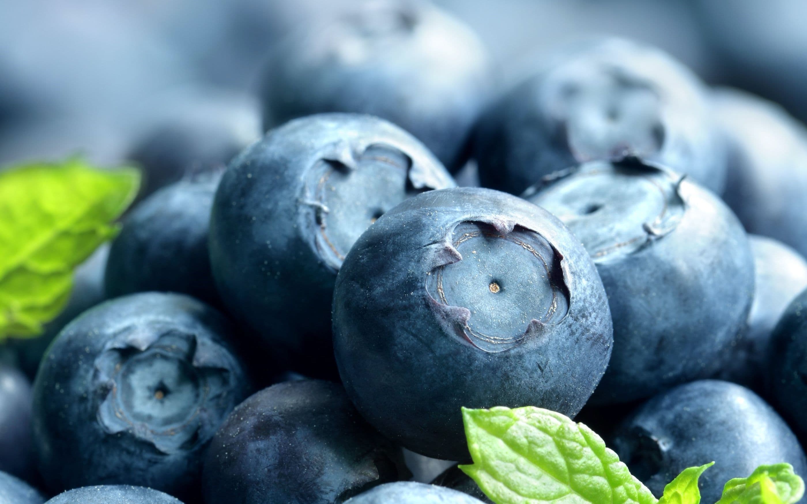 Nahaufnahme von frischen Heidelbeeren mit grünen Blättern, in natürlichem Licht, Fokus auf die detaillierte Struktur der Beeren.