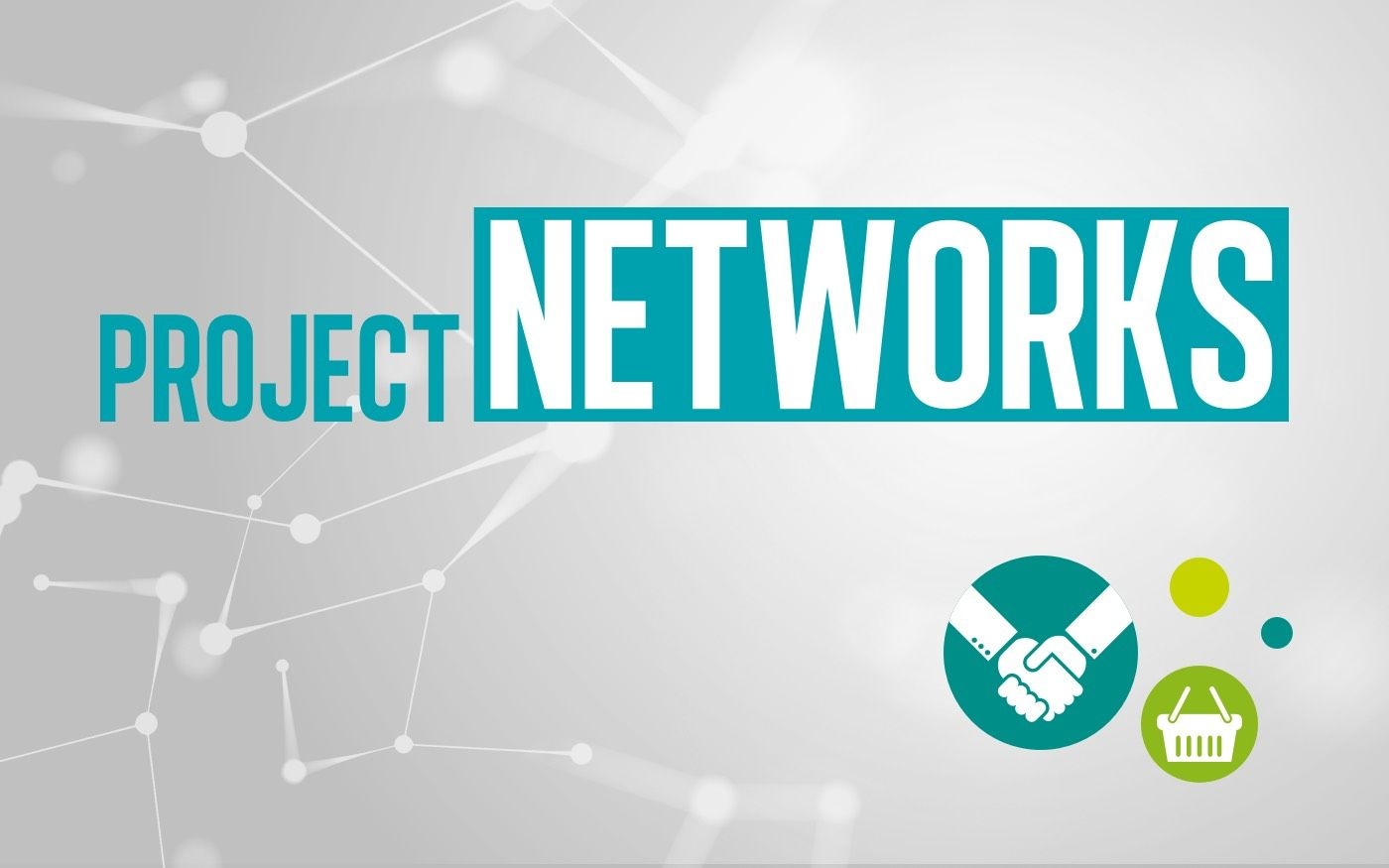 Grafik zur ProjectNetworks