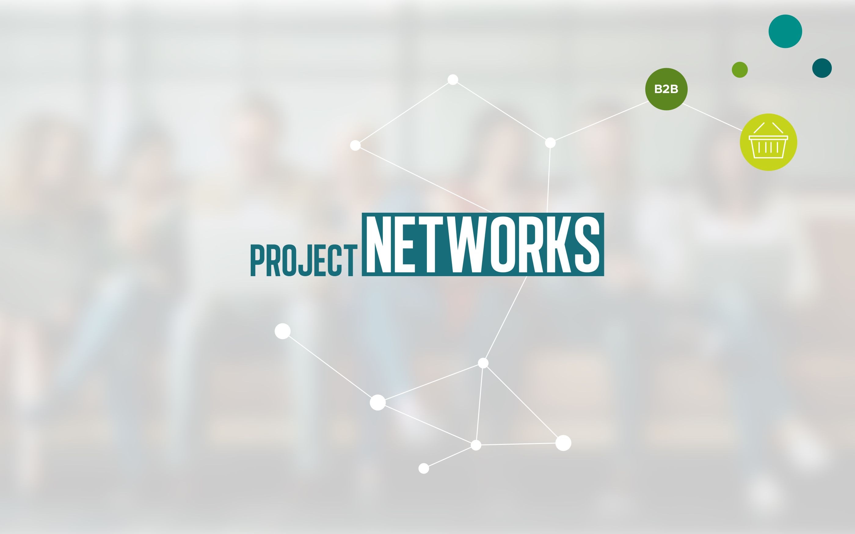 Grafik zur ProjektNetworks