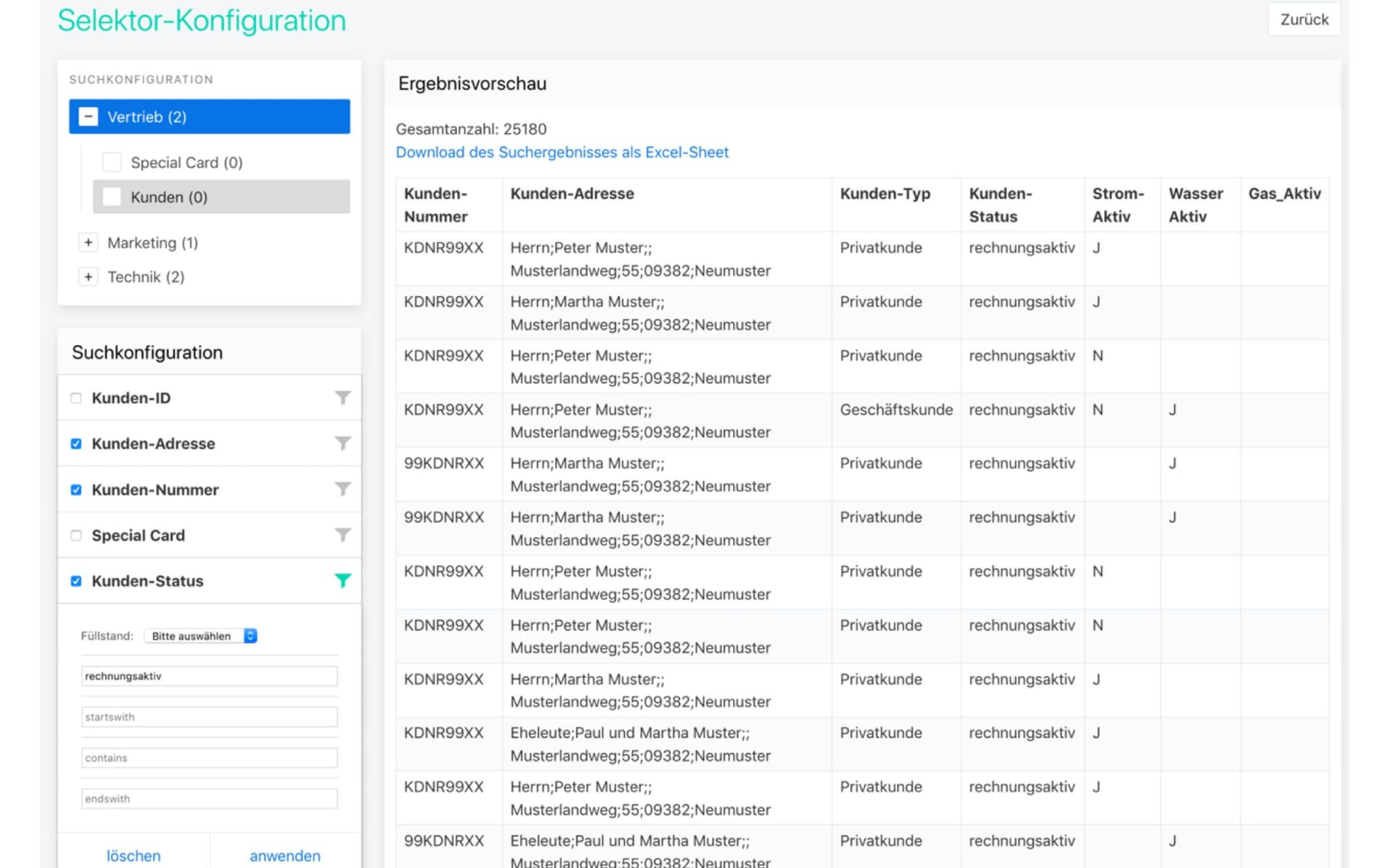 Screenshot einer Selektor-Konfiguration mit Suchfiltern auf der linken Seite und einer Ergebnisvorschau auf der rechten Seite. Die Tabelle zeigt Kundendaten wie Kunden-Nummer, Adresse, Typ, Status sowie Aktivitätsangaben für Strom, Wasser und Gas.